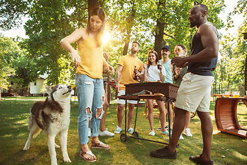 Image showing Happy friends are having beer and barbecue party at sunny day