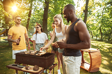 Image showing Happy friends are having beer and barbecue party at sunny day