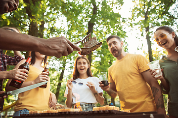 Image showing Happy friends are having beer and barbecue party at sunny day