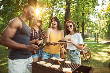 Image showing Happy friends are having beer and barbecue party at sunny day