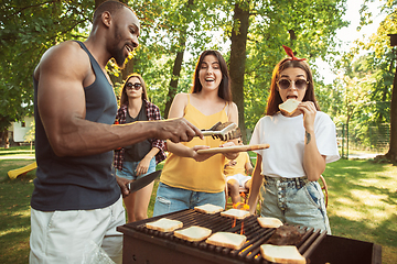 Image showing Happy friends are having beer and barbecue party at sunny day