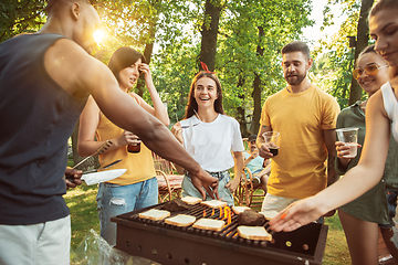 Image showing Happy friends are having beer and barbecue party at sunny day