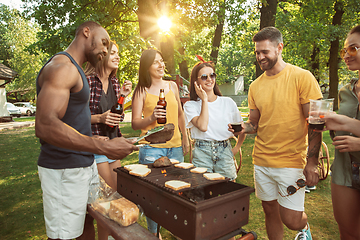 Image showing Happy friends are having beer and barbecue party at sunny day