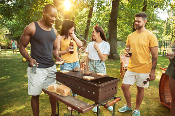 Image showing Happy friends are having beer and barbecue party at sunny day