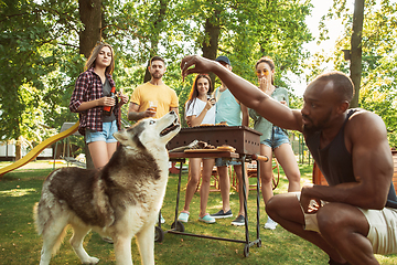 Image showing Happy friends are having beer and barbecue party at sunny day