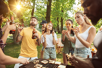 Image showing Happy friends are having beer and barbecue party at sunny day