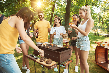 Image showing Happy friends are having beer and barbecue party at sunny day