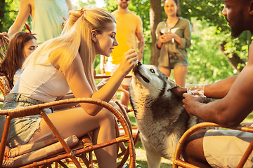 Image showing Happy friends are having beer and barbecue party at sunny day