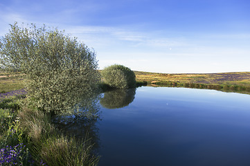 Image showing Small lake