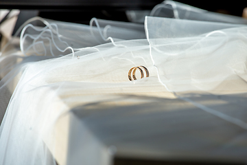 Image showing Wedding rings on the bridal veil