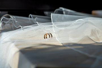 Image showing Wedding rings on the bridal veil