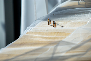 Image showing Wedding rings on the bridal veil