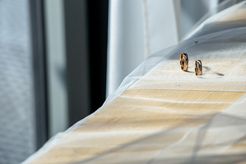 Image showing Wedding rings on the bridal veil