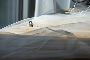 Image showing Wedding rings on the bridal veil