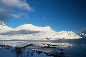 Image showing The Lofoten, Norway