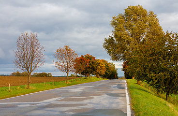 Image showing rural road in the autumn with yellow trees