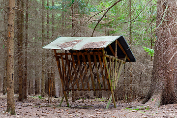 Image showing Feeder with roof for roe deer