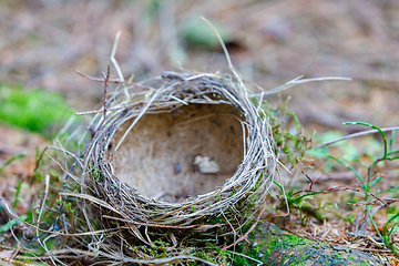 Image showing empty bird\'s abandoned nest lies on the ground