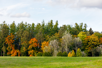 Image showing Autumn trees with yellow and orange leaves