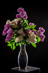 Image showing Lilac in vase on the black background