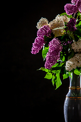 Image showing Lilac in vase on the black background