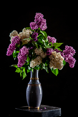 Image showing Lilac in vase on the black background