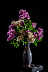 Image showing Lilac in vase on the black background