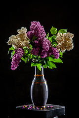 Image showing Lilac in vase on the black background