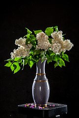 Image showing Lilac in vase on the black background