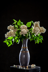 Image showing Lilac in vase on the black background