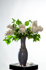 Image showing Lilac in vase on the white background