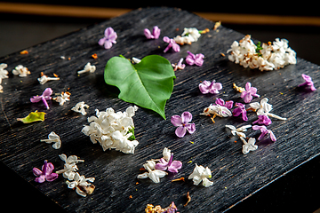 Image showing Fallen lilac flowers and leaf on the table