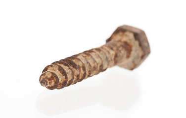 Image showing Rusted old screw isolated