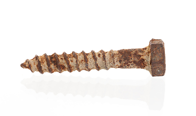 Image showing Rusted old screw isolated