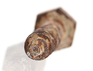 Image showing Rusted old screw isolated