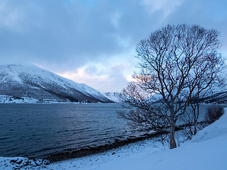 Image showing Landscape in Winter, Kvaloya, Norway