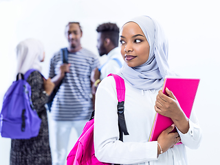 Image showing portrait of african female student with group of friends