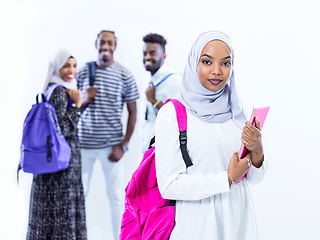 Image showing portrait of african female student with group of friends