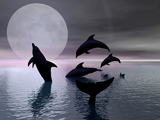 Image showing Dolphins playing in the moonlight