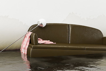 Image showing water damage brown sofa