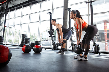 Image showing A muscular athletes doing workout at the gym