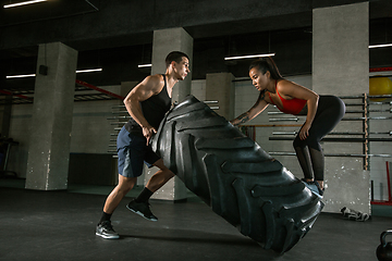 Image showing A muscular athletes doing workout at the gym