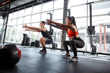 Image showing A muscular athletes doing workout at the gym