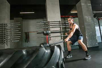 Image showing A muscular male athlete doing workout at the gym