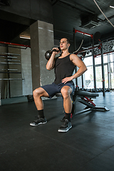 Image showing A muscular male athlete doing workout at the gym