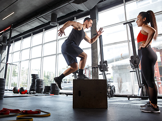 Image showing A muscular athletes doing workout at the gym