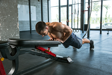 Image showing A muscular male athlete doing workout at the gym