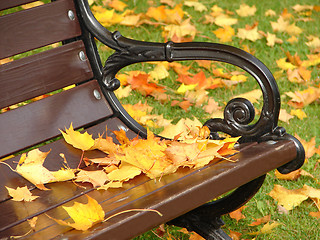 Image showing Park bench in autumn close up