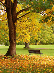 Image showing City park in autumn