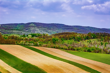 Image showing Fields in Carpathian mountains